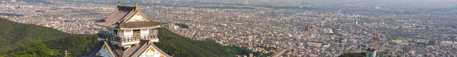 Gifu Castle